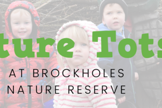 Nature Tots at Brockholes Nature Tots
