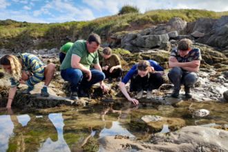 Three young people and an older man reaching into rockpools at Heysham near Morecambe