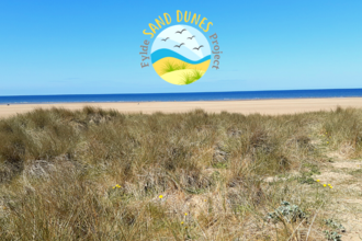 Fylde Sand Dunes Website Hero ©Amy Pennington