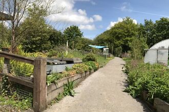 The Hive at Moss Bank Park 