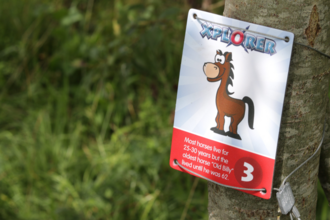 Xplorer