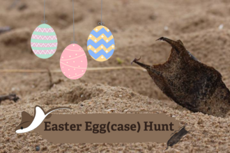 Easter Egg(case) Hunt