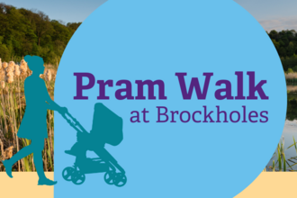 Events for families | The Wildlife Trust for Lancashire Manchester and ...
