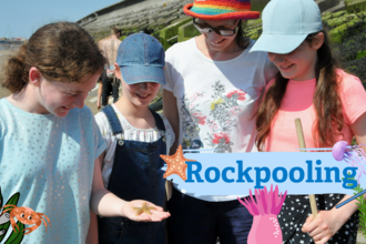 Rockpooling, Blackpool