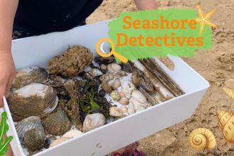 Seashore Detectives