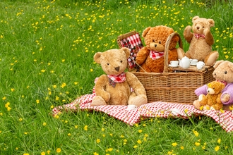 teddy bears and picnic basket in a meadow