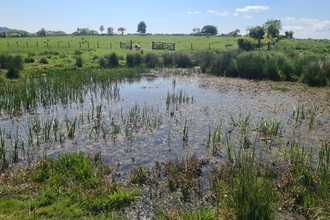 A historical ghost pond underneath a clear blue sky
