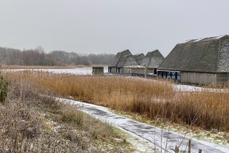 Snowy Brockholes 