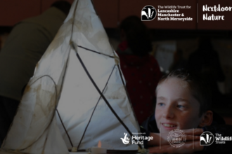 Lantern Making Workshop - Lunt Meadows & Nextdoor Nature
