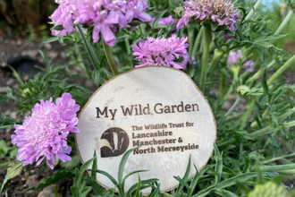 Our My Wild Garden award