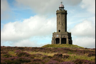 A tower on a heather covered moor