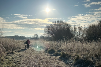 Bright sun on a winters day, frosty plants and trees as someone walks a dog