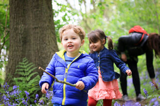 Children in a wood in spring