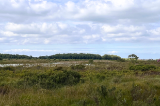 A landscape photo of Winmarleigh Moss during large heath butterfly surveying.