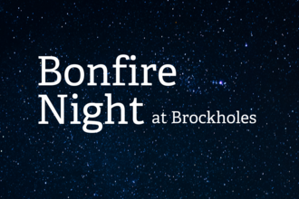 Bonfire Night at Brockholes