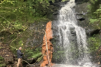 Waterfall tumbling over grey rocks surrounded by green trees