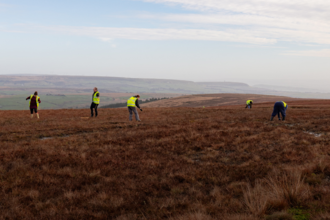 Volunteers planting sphagnum moss on Darwen Moor