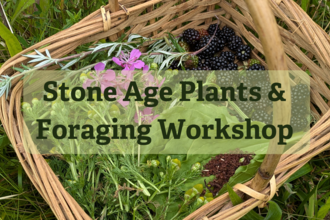 Stone Age Plants and Foraging Workshop text over a photo of a woven basket filled with wild plants, fruit and petals