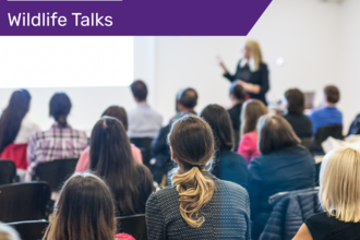 Speaker team generic representative image by Amy Shakeshaft