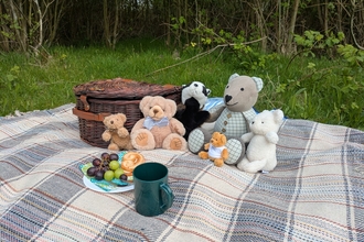 five teddies and a badger sit with a picnic basket on a blanket with grapes and a cake in the outdoor classroom at Lunt Meadows