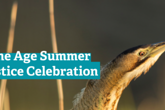 Stone Age Summer Solstice Celebration written over a photo of a bittern