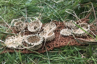 A collection of woven baskets made from grasses