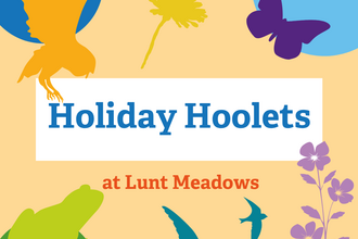 Text says Holiday Hoolets at Lunt Meadows with silhouettes of a barn owl, flowers, butterfly, frog and swifts