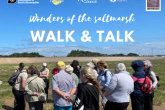 Guided Walk: Discovering Saltmarsh Secrets