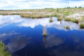 Little Woolden Moss by Dave Steel