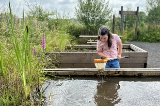 A girl pond dipping at Brockholes 