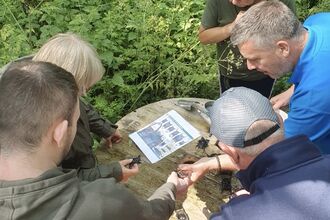 A group of volunteers huddle around a table with a shark and ray eggcase identification guide and some eggcases