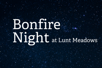 Lunt Meadows Bonfire Night