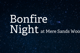 Mere Sands Wood Bonfire Night