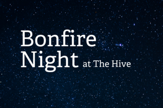 Hive Bonfire Night