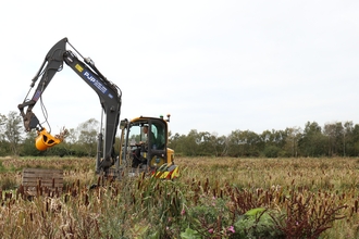 A digger in a field covered in bulrushes