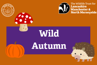 Wild Autumn