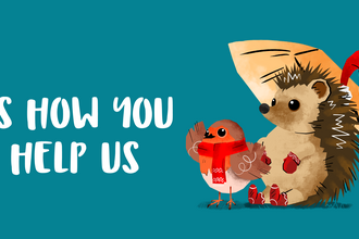 Here's how you can help us - image with robin wearing a scarf, hedgehog with mittens and a barn owl wearing a santa hat