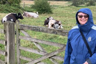 Hazel Ryan with cows at Cutacre nature reserve