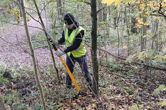 Man using tree popper in Woodland management