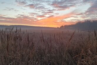 Sunrise over Lunt meadows Credit Dave Melia Nature Photography