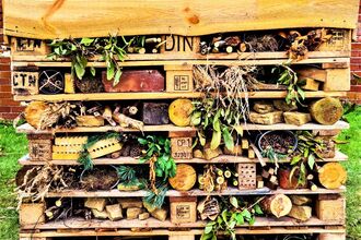 Bug hotel 