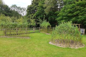 Saviour Willow dome 