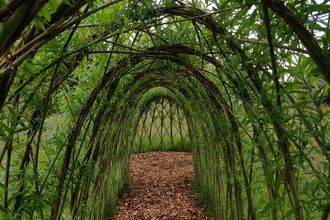 Willow Dome & Tunnel 
