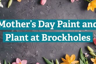 Grey background with spring flowers surrounding text saying Mother's Day Paint and Plant at Brockholes
