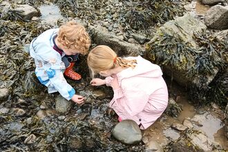 rock pooling at HMB