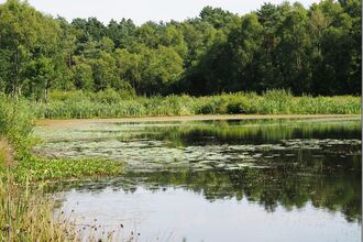A view from End Lake Platform