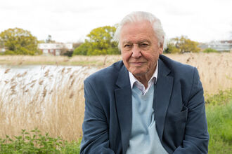 Sir David Attenborough at Woodberry Wetlands in London. Behind him can be seen a large body of water with rushes and grasses around it
