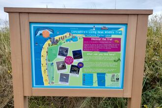 The picture is of a map showing the Lancashire Living Seas Trail in Fleetwood