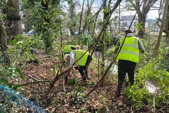 Wythenshawe Park Corporate Conservation Day 