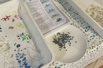 Small pieces of different types of plastic sorted into groups